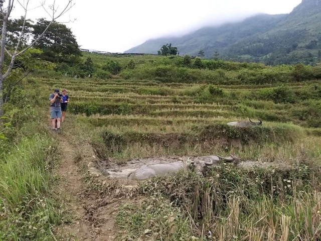 Sapa: Full-Day Private Muong Hoa Valley Tour