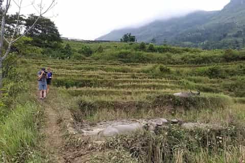 sapa fullday private muong hoa valley tour