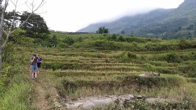 sapa fullday private muong hoa valley tour