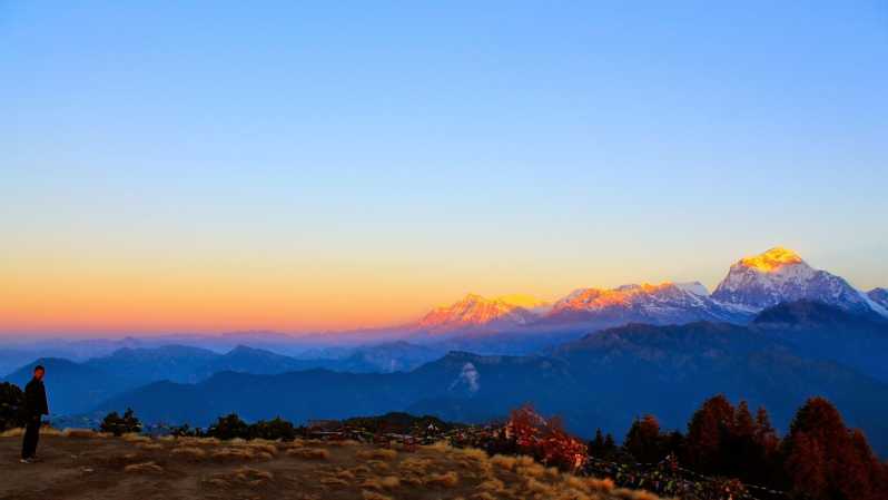 Da Pokhara: trekking di 4 giorni a Ghorepani e Poon Hill