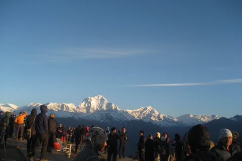 Van Pokhara: 4-Day Ghorepani en Poon Hill Trek