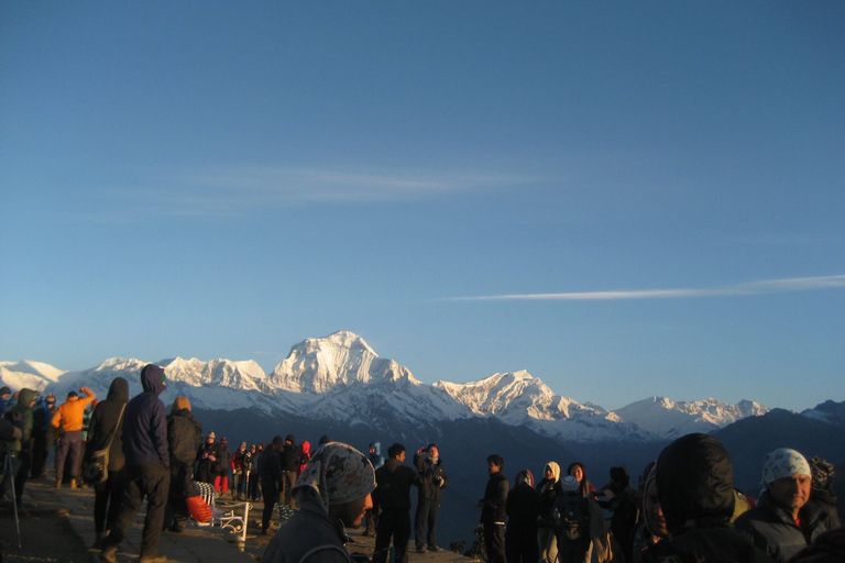 Von Pokhara: 4-tägiger Ghorepani und Poon Hill Trek