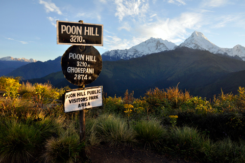 Van Pokhara: 4-Day Ghorepani en Poon Hill Trek