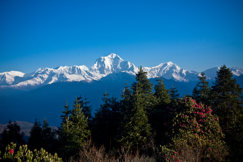 From Pokhara: 4-Day Ghorepani and Poon Hill Trek