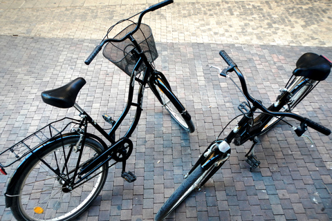 Alugue uma bicicleta em MálagaMálaga: alugue uma bicicleta e ande por aí