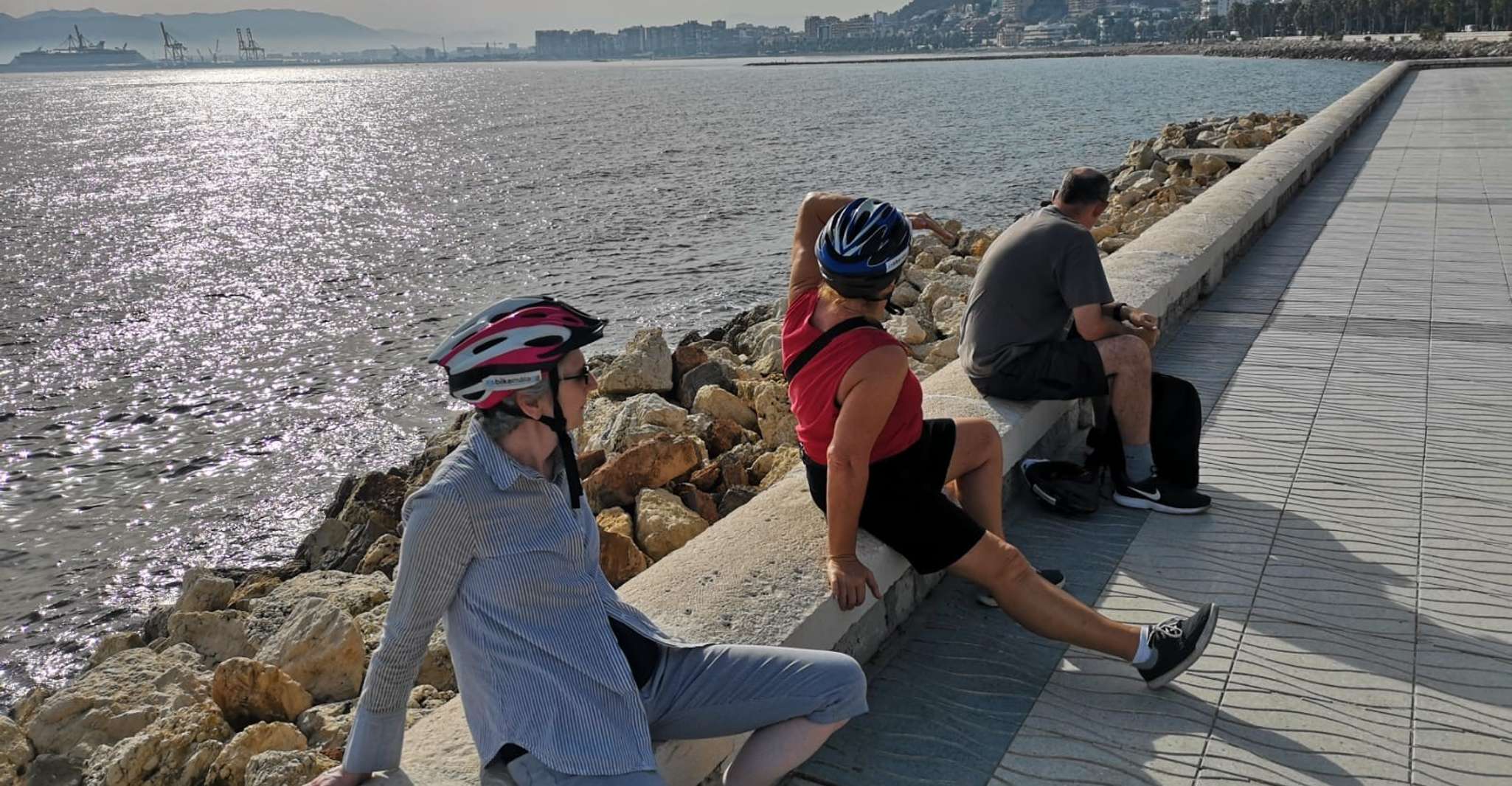Malaga Stadt Elektro-Fahrrad mieten - Hizvo