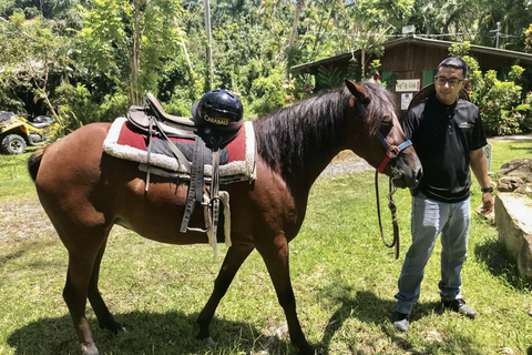 Carabalí Rainforest Park: Rainforest Horseback Riding Tour 2-Hour Horseback Ride