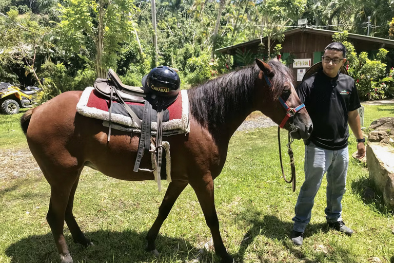 Carabalí Rainforest Park: Rainforest Horseback Riding Tour 2-Hour Horseback Ride