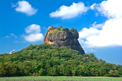 Ab Negombo: Tagestour nach Sigiriya und DambullaAb Negombo: Private Tagestour nach Sigiriya und Dambulla