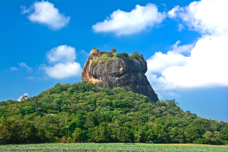 De Negombo: excursion d’une journée à Sigiriya et DambullaDe Negombo: excursion privée d'une journée à Sigiriya et Dambulla