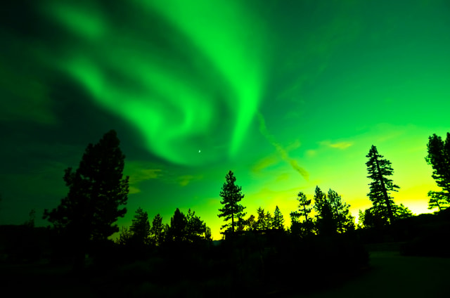 Rovaniemi: Guided Northern Lights Tour by Van