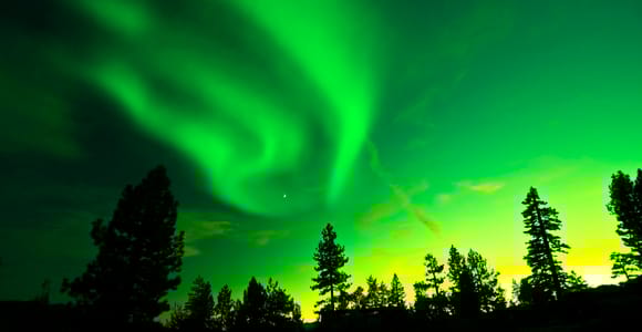 Rovaniemi: Geführte Nordlichter Tour