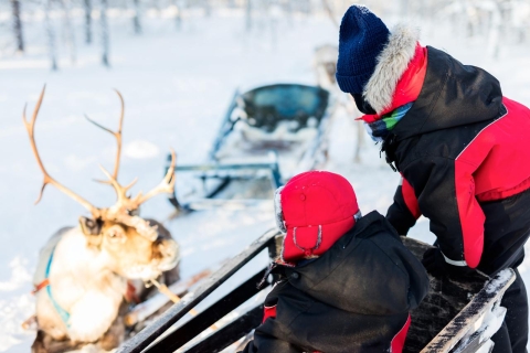 Rovaniemi: Snowmobile to Reindeer, Husky Farm, Santa Village