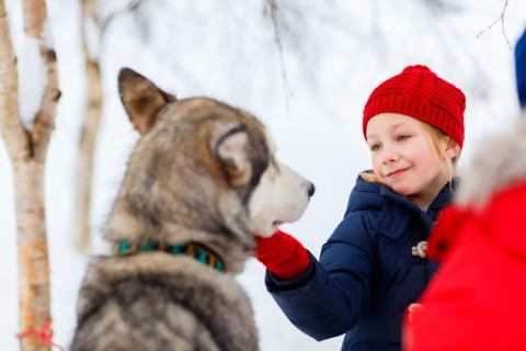 Rovaniemi: combinación de Husky Park y granja de renos en minibúsRovaniemi: paseo en husky y renos con visita al pueblo de Papá Noel