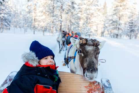 Dia da Família: Snowmobile, Animais do Ártico e Santa Village