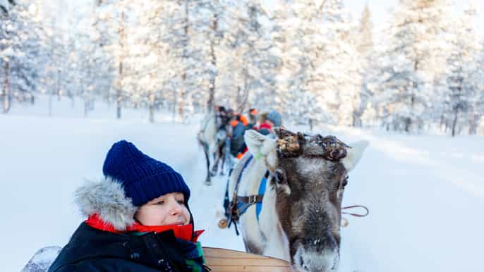 family day snowmobile arctic animals and santa village