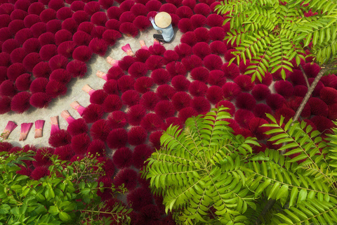 Hanoi Co Loa Citadel or Fish Trap, Soy Sauce_Incense Village Private Tour Hanoi: Co Loa Ancient Citadel Guided Tour