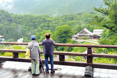 Nara: Entdecke die riesige Kannon-Statue und den Tempel am Steilhang von HasederaNara: Entdecke die riesige Kannon-Statue und den Tempel am Steilhang in Hasedera