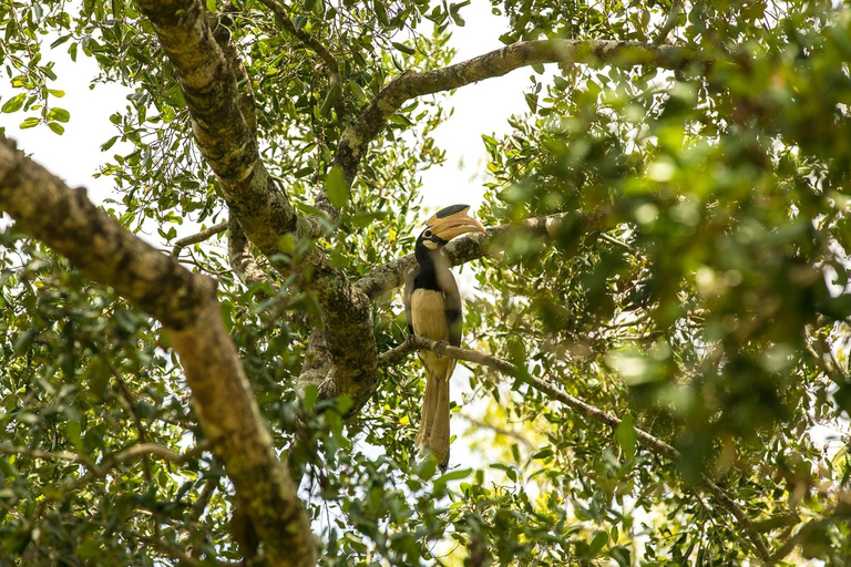 Sri Lanka: excursion d'une journée et safari dans la province occidentale