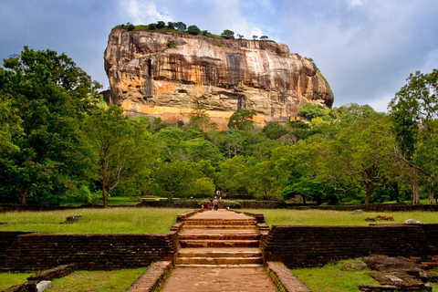 Sri Lanka: excursion d'une journée et safari dans la province occidentale