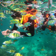 From Khao Lak: Phi Phi, Maya Bay & Khai Island Day Trip