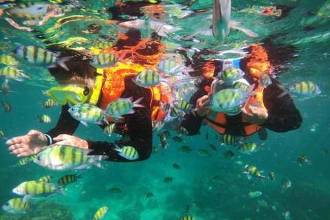 From Khao Lak: Phi Phi, Maya bay & Khai island Day Trip