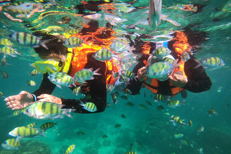 From Khao Lak: Phi Phi, Maya bay & Khai island Day Trip