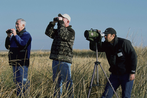 Bali: Tour di birdwatching nella campagna di Ubud con trasferimento