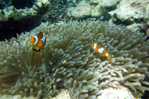 Krabi: Small Group Boat Tour to James Bond & Hong Islands