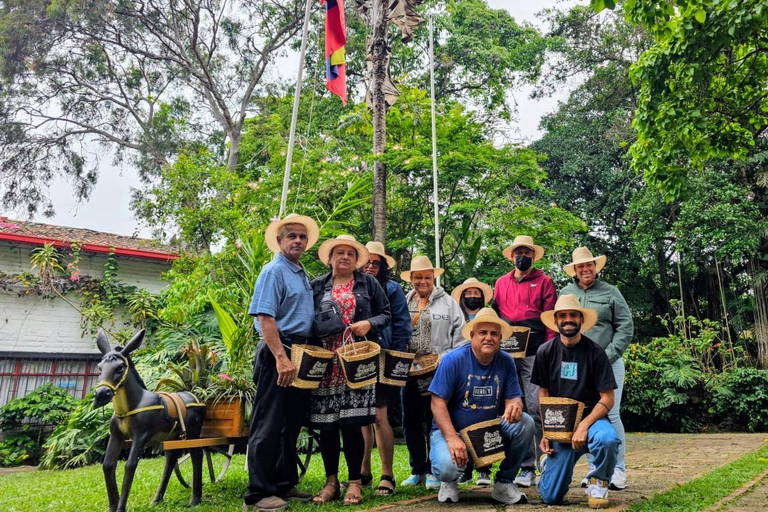 From Bogotá: Coffee Sightseeing Tour, Tequendama Falls, and Exotic Fruits