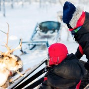 Rovaniemi: Traditional Reindeer Farm Visit with Sledge Ride