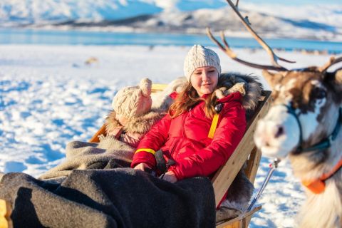 Rovaniemi: Traditional Reindeer Farm Visit with Sleigh Ride
