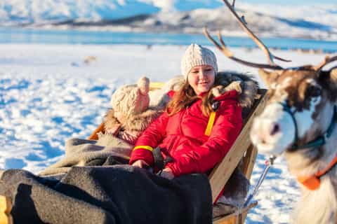 rovaniemi traditional reindeer farm visit with sledge ride