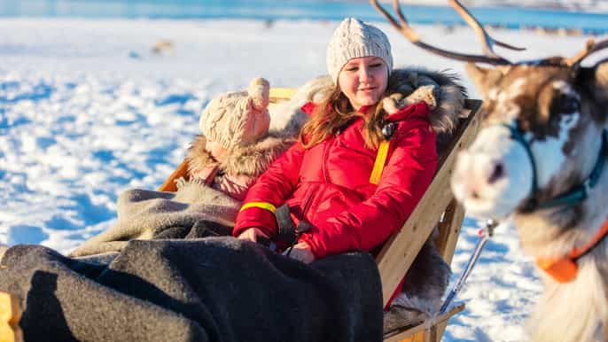 rovaniemi traditional reindeer farm visit with sledge ride