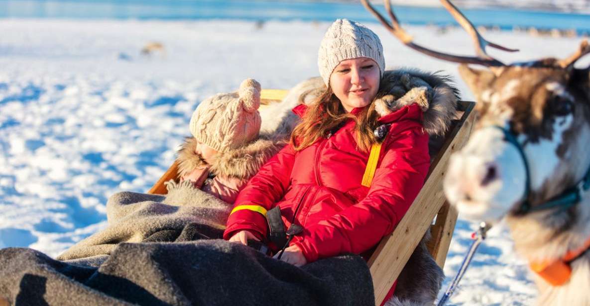 Rovaniemi: Traditional Reindeer Farm Visit with Sledge Ride
