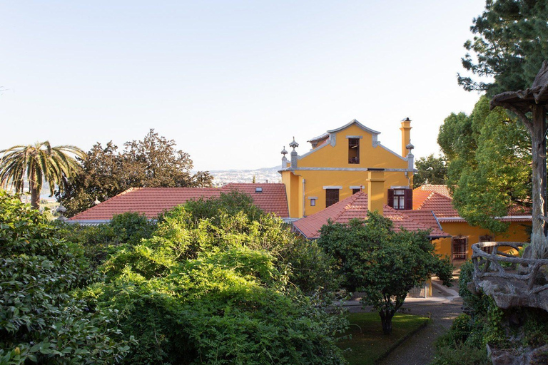 Porto: bezpośredni bilet wstępu do Casa São RoquePoro: Bilet bezpośredniego wejścia do Casa São Roque