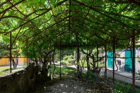 Porto: bezpośredni bilet wstępu do Casa São RoquePoro: Bilet bezpośredniego wejścia do Casa São Roque