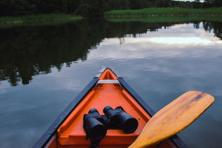 Stockholm: Canoe Adventure in Bogesund Nature Reserve