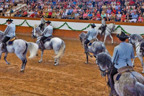 Jerez, Cadice e cavalli andalusi: tour da Siviglia