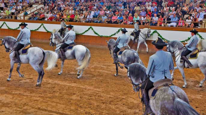 from seville jerez cádiz and andalusian horses