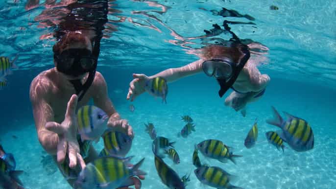 punta cana tour privado en catamarán con almuerzo