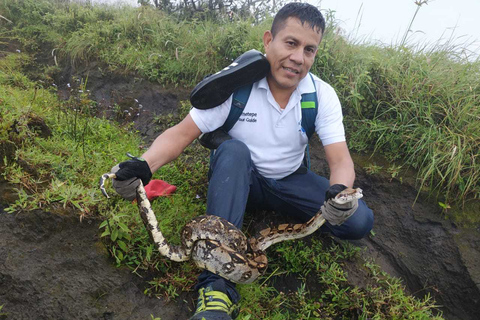 Von Granada: Ganztagesausflug zur Insel Ometepe