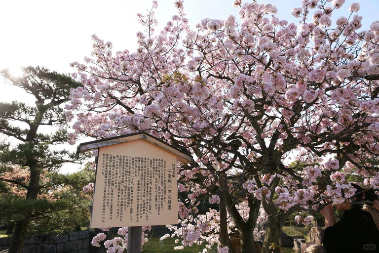 Kyoto/Osaka: Nijo Castle, Arashiyama, Kinkakuji Day Tour Kyoto Full Day Tour | Depart from Kyoto 9:00 AM