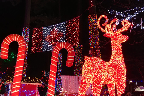 Vancouver: Christmas Tour with Light Festival Entrance