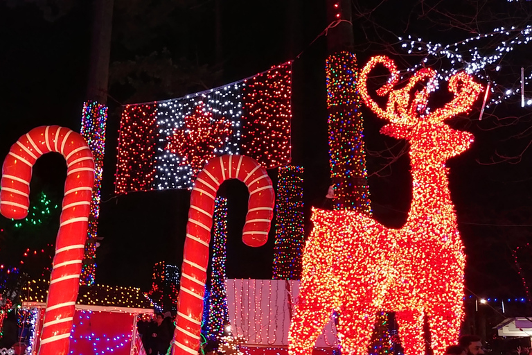 Vancouver: kersttour met toegang tot het lichtfestival