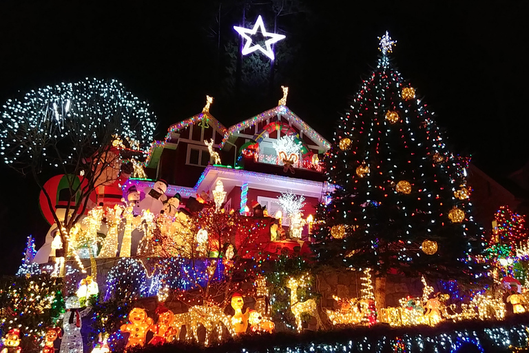 Vancouver: Christmas Tour with Light Festival Entrance