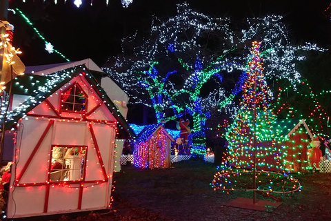 Vancouver: Christmas Tour with Light Festival Entrance