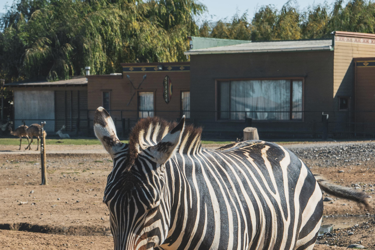 From Santiago: Rancagua Safari Park Zoo