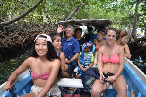 Roatan: Mangrove Tunnel Tour with Snorkeling Coxen Hole Cruise Guests