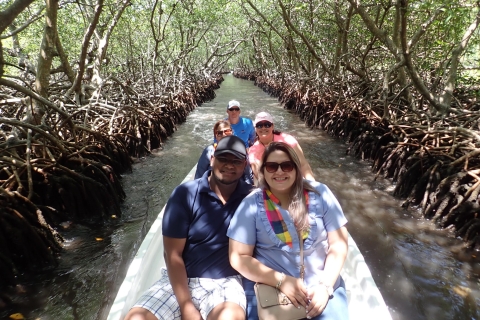 Roatan: Mangrove Tunnel Tour with Snorkeling Mahogany Bay Cruise Guests